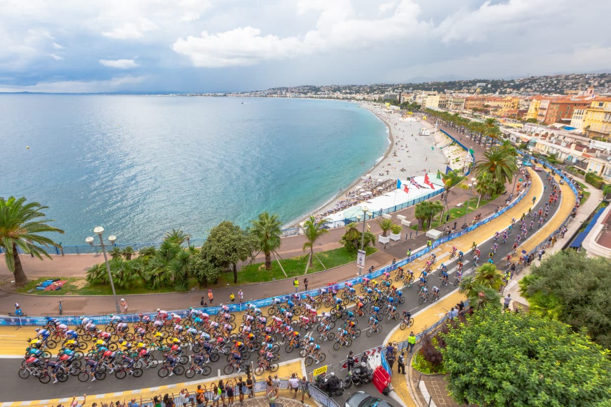 Lazarite Tourid Warframe